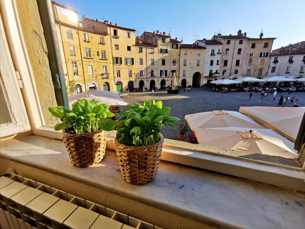 In Anfiteatro. Vivere Lucca immersi nella storia – Lucca